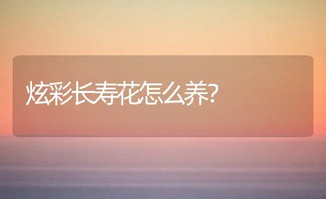 炫彩长寿花怎么养？ | 多肉养殖