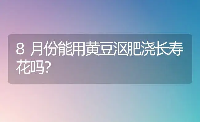 8月份能用黄豆沤肥浇长寿花吗？ | 多肉养殖