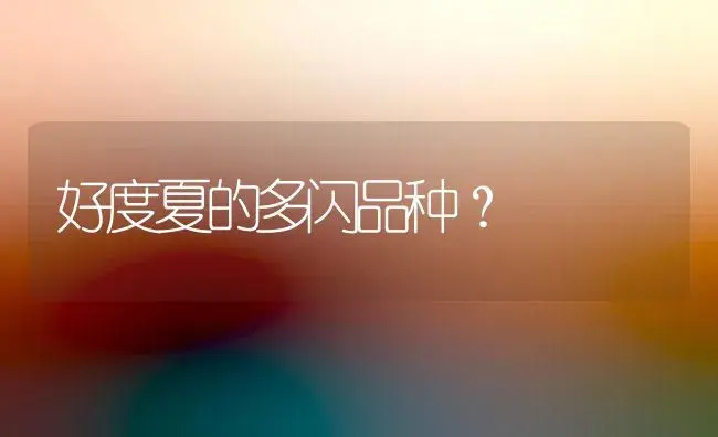 好度夏的多闪品种？ | 多肉养殖