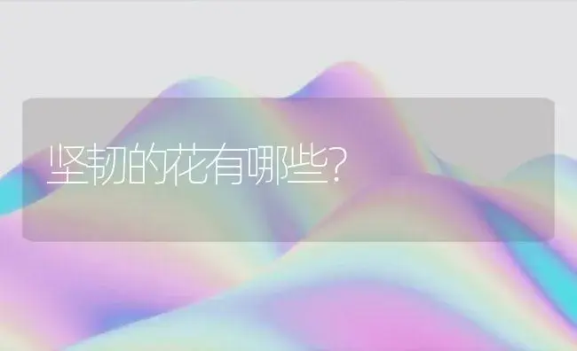 坚韧的花有哪些？ | 绿植常识