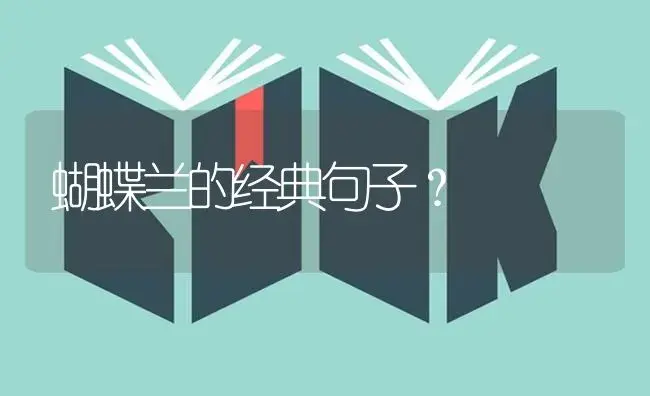 蝴蝶兰的经典句子？ | 绿植常识