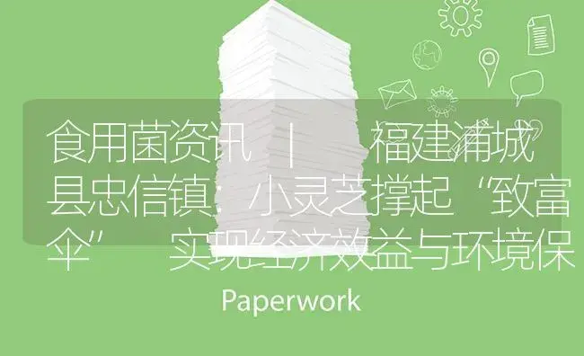 福建浦城县忠信镇：小灵芝撑起“致富伞” 实现经济效益与环境保护双赢 | 菌菇种植