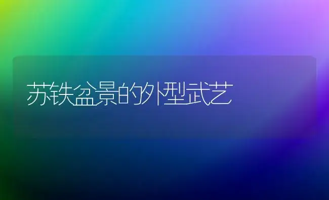 桂花常见的几种病虫害及防治和治疗技术 | 家庭养花