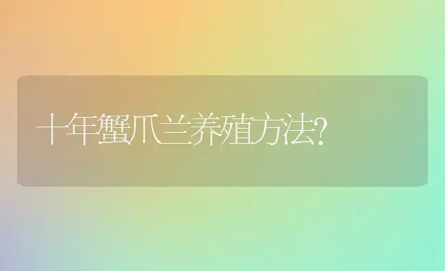 十年蟹爪兰养殖方法？ | 多肉养殖