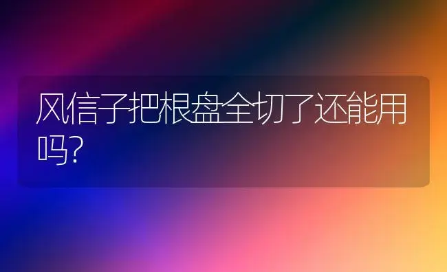 不同颜色月季养久变成了一种颜色？ | 绿植常识