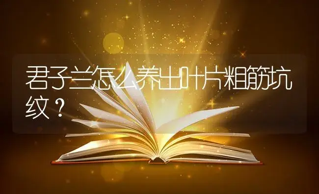 君子兰怎么养出叶片粗筋坑纹？ | 绿植常识