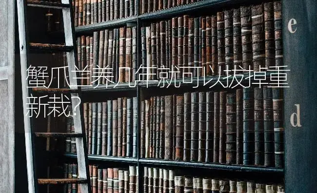 蟹爪兰养几年就可以拔掉重新栽？ | 多肉养殖