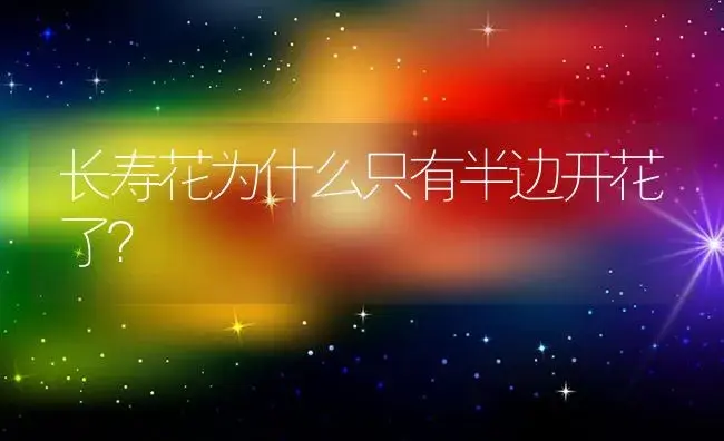 长寿花为什么只有半边开花了？ | 多肉养殖