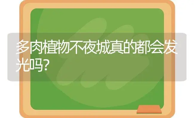 多肉植物不夜城真的都会发光吗？ | 多肉养殖