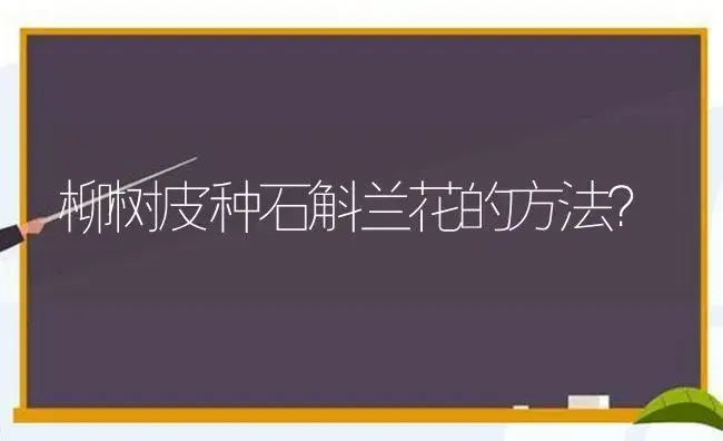 柳树皮种石斛兰花的方法？ | 绿植常识