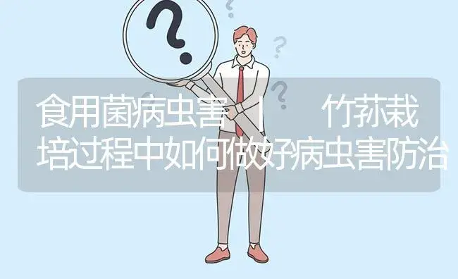 竹荪栽培过程中如何做好病虫害防治 | 菌菇种植