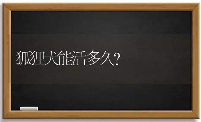 狐狸犬能活多久？ | 多肉养殖