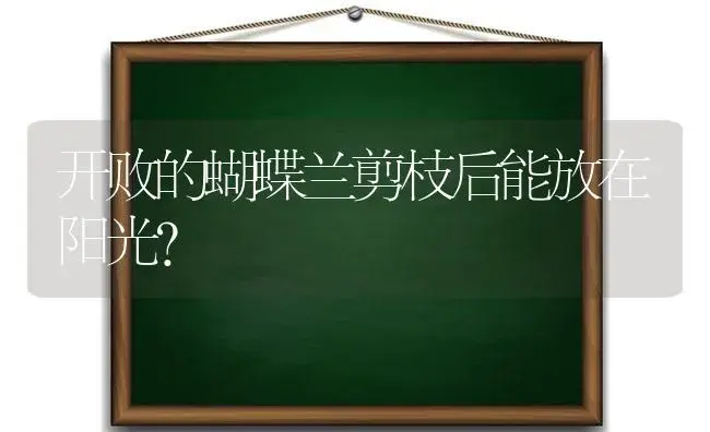 开败的蝴蝶兰剪枝后能放在阳光？ | 绿植常识