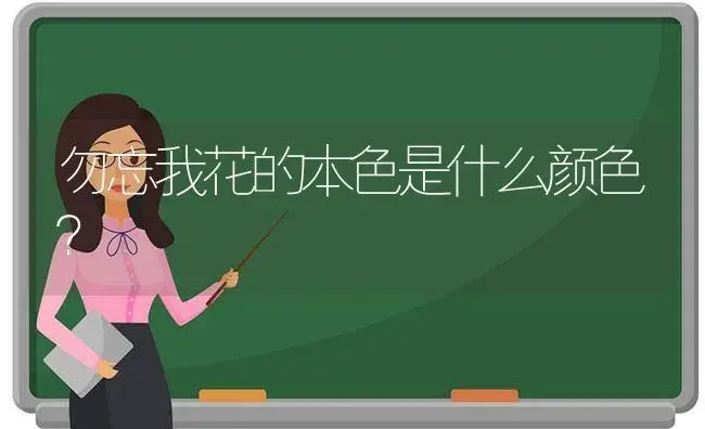 勿忘我花的本色是什么颜色？ | 绿植常识