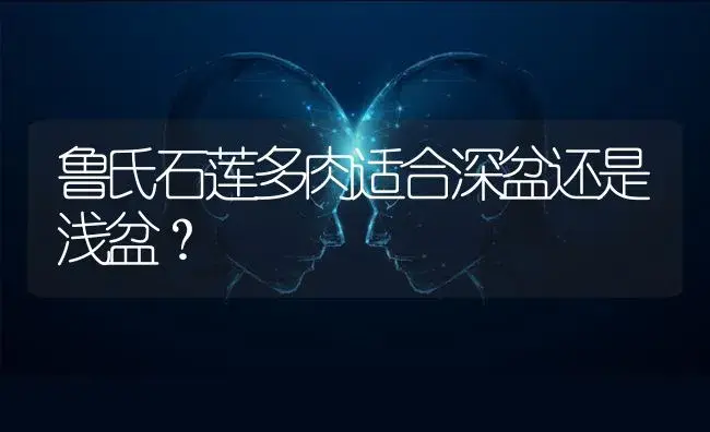 鲁氏石莲多肉适合深盆还是浅盆？ | 多肉养殖