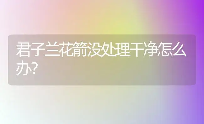 君子兰花箭没处理干净怎么办？ | 绿植常识