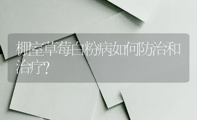 棚室草莓白粉病如何防治和治疗？ | 果木种植