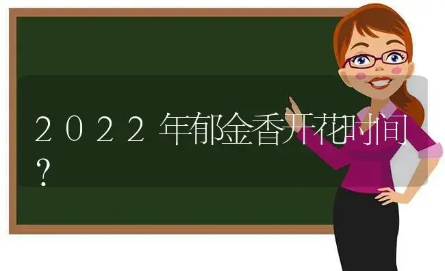 2022年郁金香开花时间？ | 绿植常识