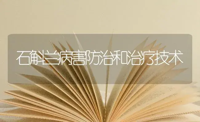 石斛兰病害防治和治疗技术 | 特种种植