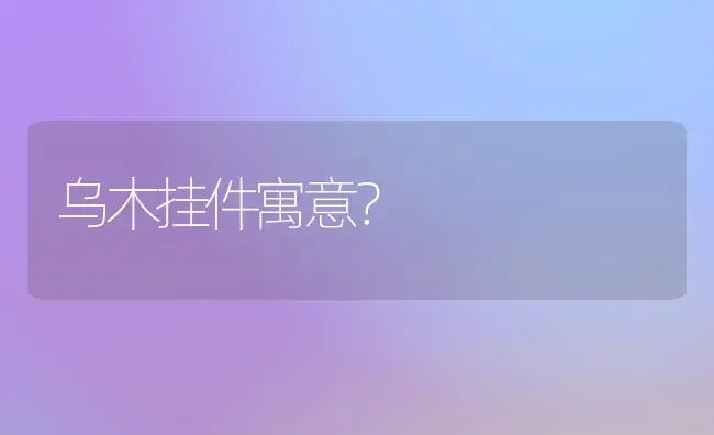 乌木挂件寓意？ | 多肉养殖