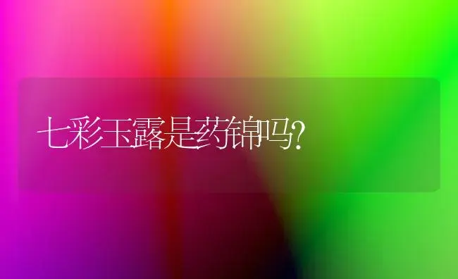 七彩玉露是药锦吗？ | 多肉养殖