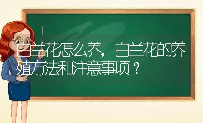 白兰花怎么养，白兰花的养殖方法和注意事项？ | 绿植常识