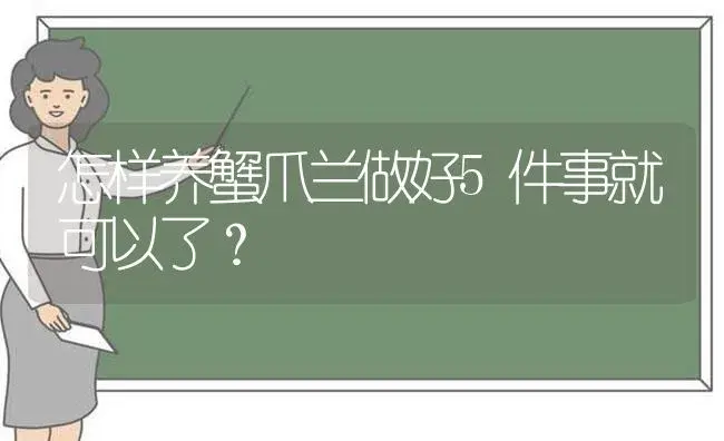 怎样养蟹爪兰做好5件事就可以了？ | 多肉养殖