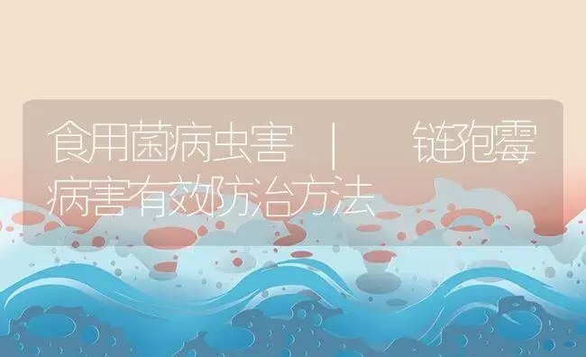 链孢霉病害有效防治方法 | 菌菇种植