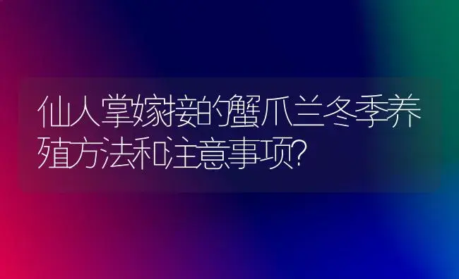 仙人掌嫁接的蟹爪兰冬季养殖方法和注意事项？ | 多肉养殖