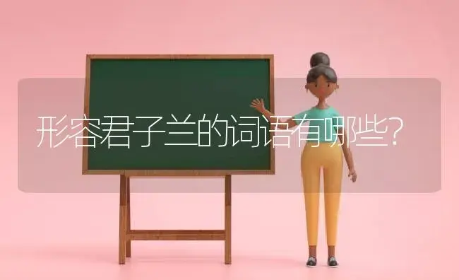 形容君子兰的词语有哪些？ | 绿植常识