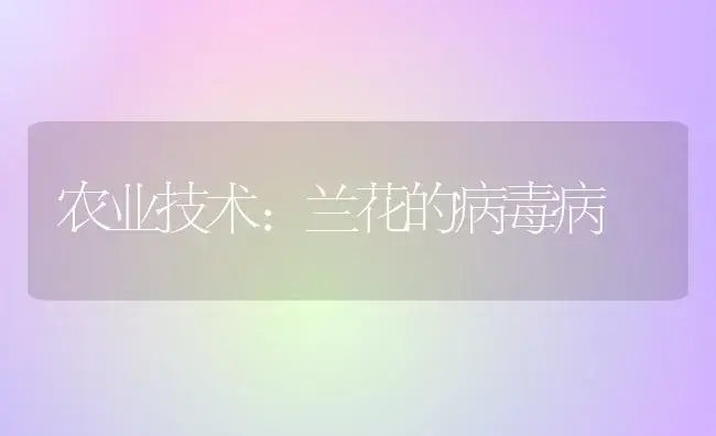 农业技术:兰花的病毒病 | 家庭养花