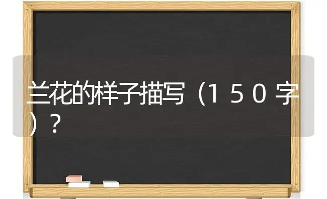 兰花的样子描写（150字）？ | 绿植常识