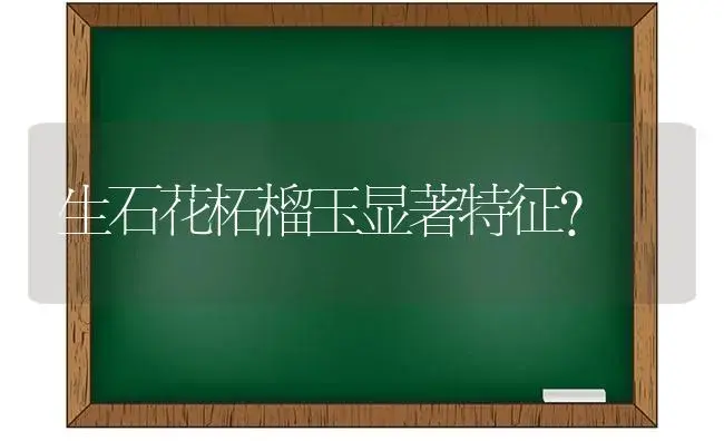 生石花柘榴玉显著特征？ | 多肉养殖