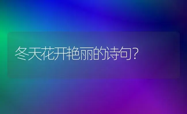 冬天花开艳丽的诗句？ | 绿植常识