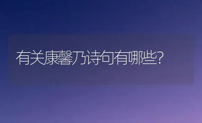 有关康馨乃诗句有哪些？ | 绿植常识