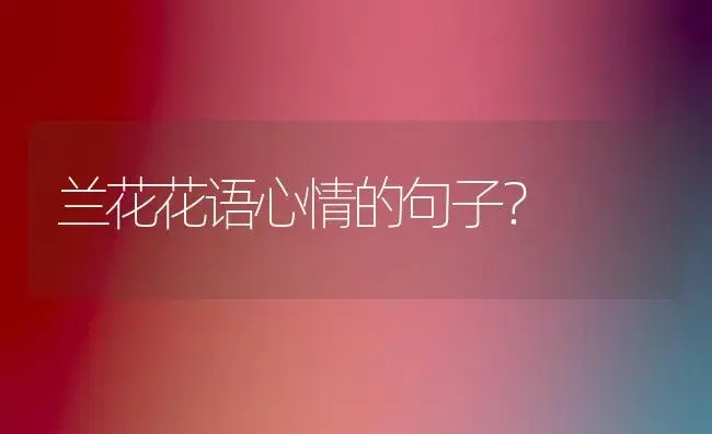 兰花花语心情的句子？ | 绿植常识