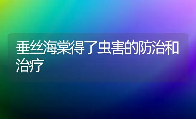 垂丝海棠得了虫害的防治和治疗 | 家庭养花