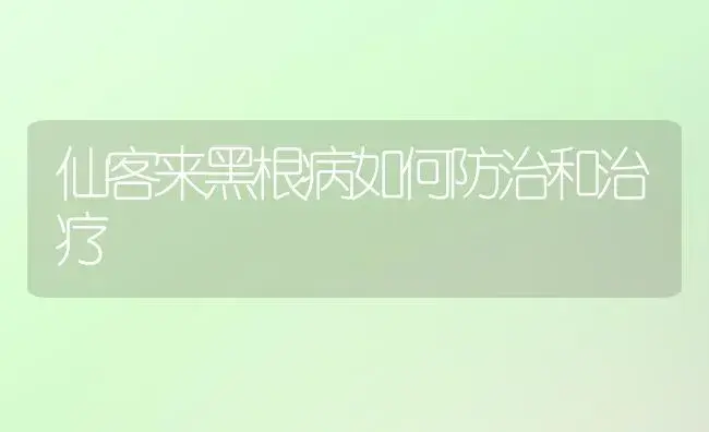 仙客来黑根病如何防治和治疗 | 家庭养花