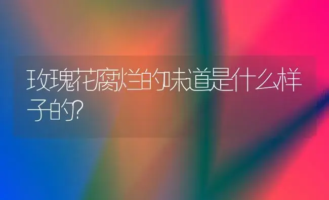 玫瑰花腐烂的味道是什么样子的？ | 绿植常识