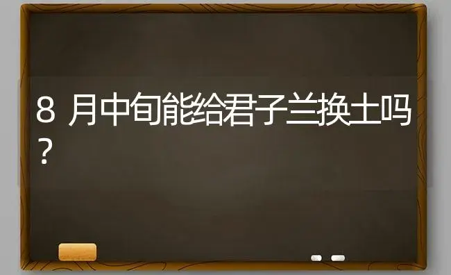 8月中旬能给君子兰换土吗？ | 绿植常识