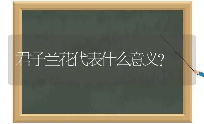 君子兰花代表什么意义？ | 绿植常识