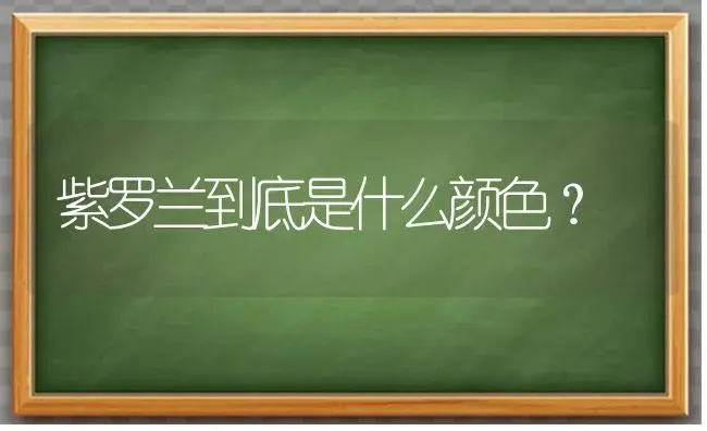 紫罗兰到底是什么颜色？ | 绿植常识