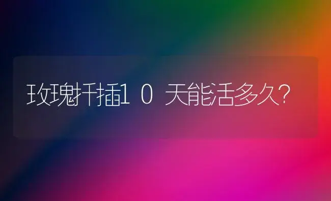 玫瑰扦插10天能活多久？ | 绿植常识