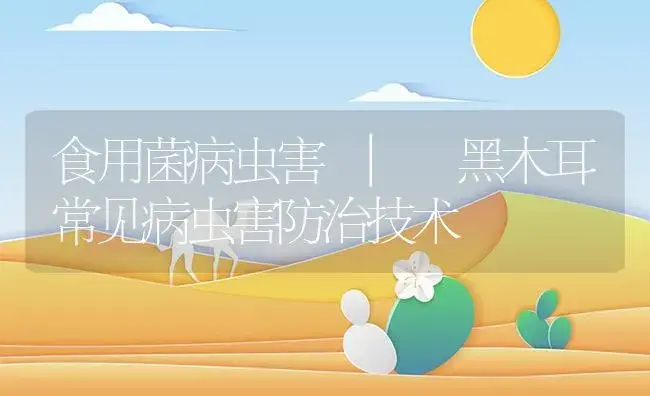 黑木耳常见病虫害防治技术 | 菌菇种植