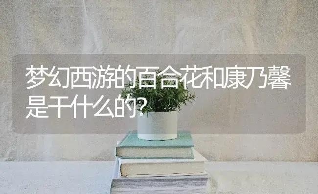 梦幻西游的百合花和康乃馨是干什么的？ | 绿植常识