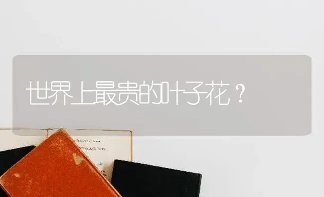 世界上最贵的叶子花？ | 绿植常识