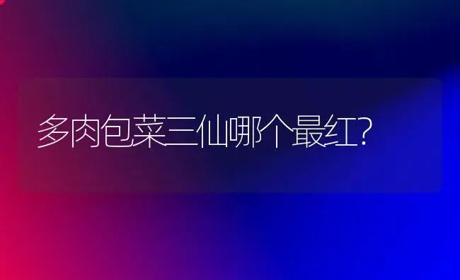 多肉包菜三仙哪个最红？ | 多肉养殖