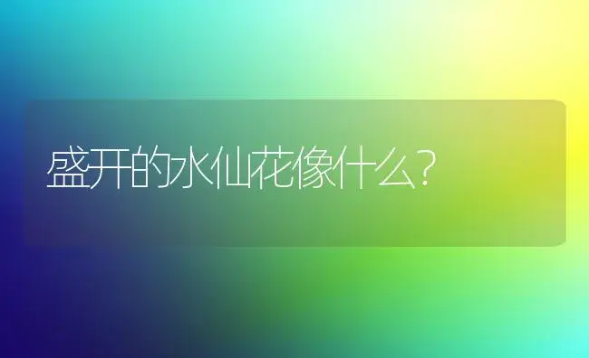 水仙烂叶怎么解决？ | 绿植常识