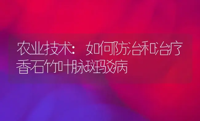 农业技术:如何防治和治疗香石竹叶脉斑驳病 | 家庭养花