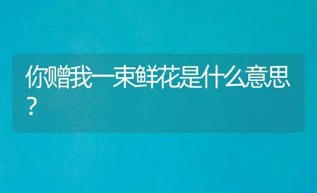 你赠我一束鲜花是什么意思？ | 绿植常识